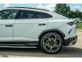 2019 Lamborghini Urus for sale 101794959