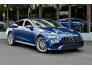 2019 Mercedes-Benz AMG GT for sale 101742621