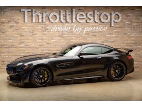 2019 Mercedes-Benz AMG GT R Coupe for sale 101731439