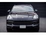 2019 Porsche Cayenne for sale 101653287