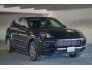 2019 Porsche Cayenne for sale 101695585