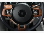 Thumbnail Photo 30 for 2019 Rolls-Royce Cullinan