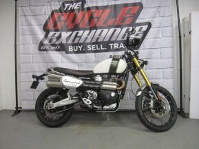 2019 Triumph Scrambler for sale 201511391