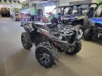 Thumbnail Photo 2 for 2019 Yamaha Grizzly 700 EPS