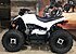 2019 Yamaha YFZ50 for sale 200793271