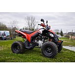 2020 Can-Am DS 250 for sale 201270785