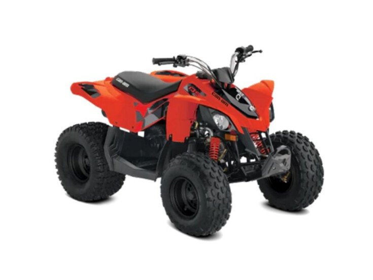 Photo for 2020 Can-Am DS 70