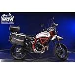 2020 Ducati Scrambler for sale 201355830