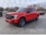 2020 Ford F150 for sale 101677858