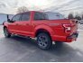 2020 Ford F150 for sale 101677858