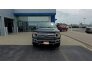 2020 Ford F150 for sale 101717345