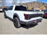 2020 Ford F150 for sale 101718110