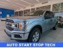 2020 Ford F150 for sale 101736617