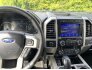 2020 Ford F150 for sale 101741504
