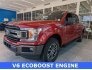 2020 Ford F150 for sale 101746401