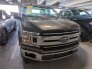 2020 Ford F150 for sale 101746409