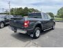 2020 Ford F150 for sale 101748064