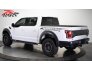 2020 Ford F150 for sale 101755893