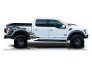 2020 Ford F150 for sale 101767978