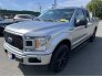 2020 Ford F150 for sale 101783651