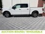 2020 Ford F150 for sale 101792418