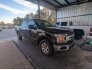 2020 Ford F150 for sale 101844987