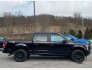 2020 Ford F150 for sale 101848367