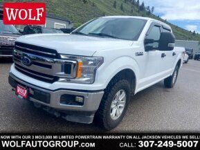 2020 Ford F150 for sale 101858828