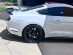 Thumbnail Photo 6 for 2020 Ford Mustang