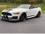 2020 Ford Mustang for sale 101643993