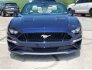 2020 Ford Mustang for sale 101682363