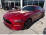 2020 Ford Mustang GT for sale 101682373
