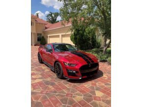 2020 Ford Mustang for sale 101683689