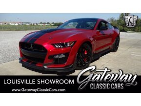 2020 Ford Mustang Shelby GT500 for sale 101688634