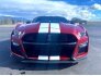 2020 Ford Mustang Shelby GT500 for sale 101720725