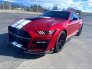 2020 Ford Mustang Shelby GT500 for sale 101720725