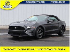 2020 Ford Mustang for sale 101725603