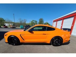 2020 Ford Mustang for sale 101737805