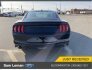 2020 Ford Mustang for sale 101824184