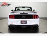 2020 Ford Mustang GT Premium for sale 101827675