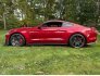 2020 Ford Mustang Shelby GT500 Coupe for sale 101835626