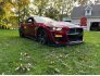 2020 Ford Mustang Shelby GT500 Coupe for sale 101835626