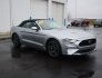 2020 Ford Mustang for sale 101835835