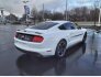 2020 Ford Mustang GT Premium for sale 101838659