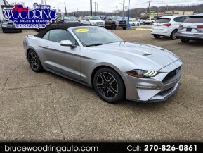 2020 Ford Mustang for sale 101839340
