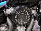 Thumbnail Photo 13 for 2020 Harley-Davidson Softail Slim