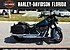 2020 Harley-Davidson Softail Heritage Classic 114 for sale 200797125