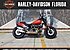 2020 Harley-Davidson Softail Fat Bob 114 for sale 200800519