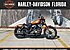 2020 Harley-Davidson Sportster Iron 883 for sale 200809625