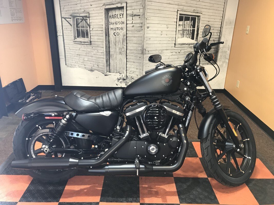 harley davidson sportster 883 for sale